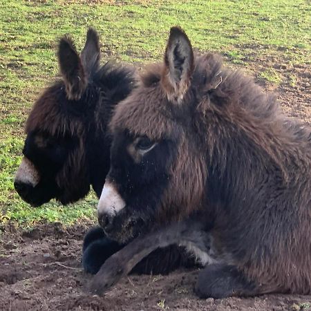 Sandhill House Troon Zewnętrze zdjęcie